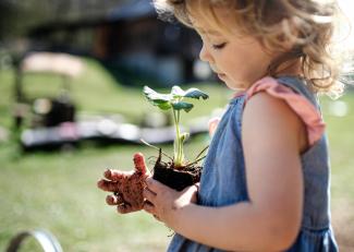 Sustainability